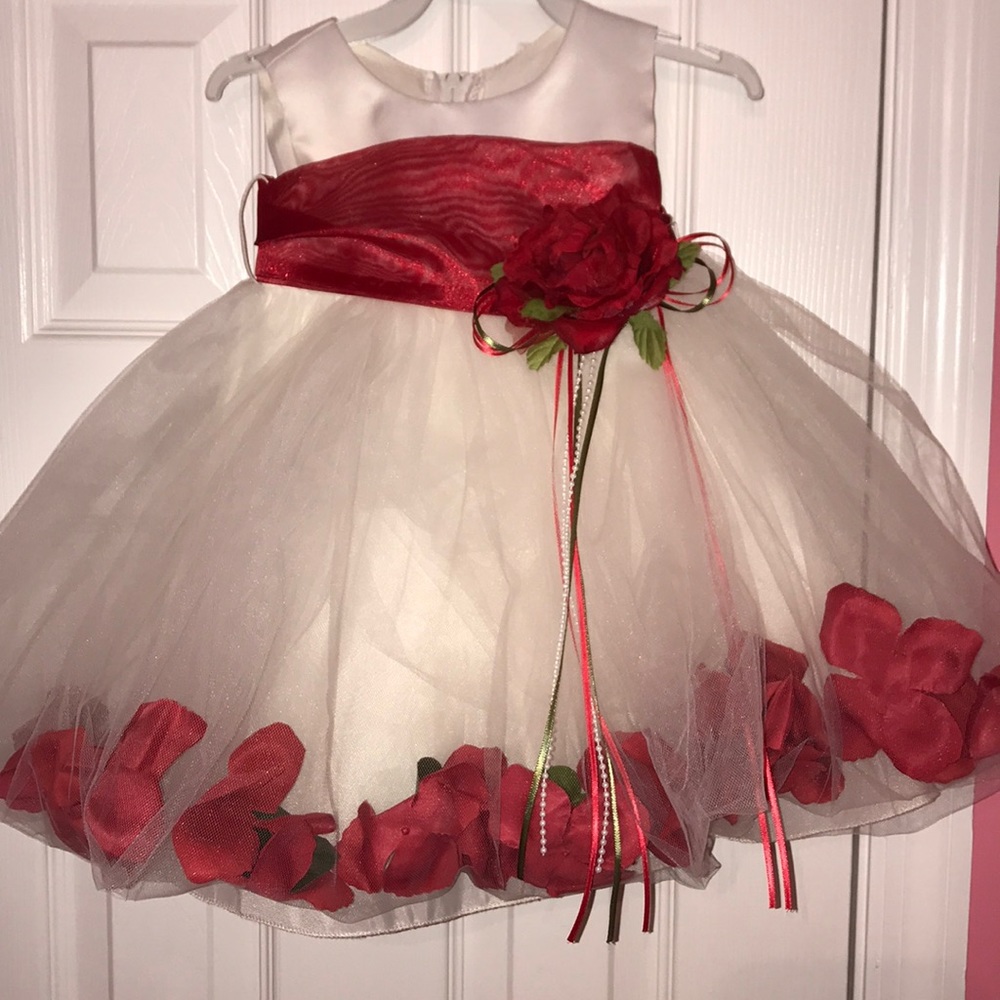 Flower girl tutu dress